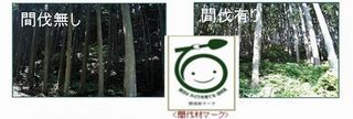 間伐有無 間伐有無