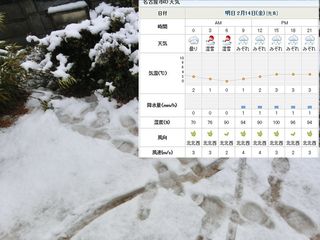 214ベタ雪なの